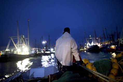 Changing Migration Patterns Upend East Coast Fishing Industry - WSJ