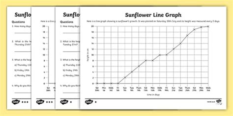 Sunflower Line Graph Worksheets - Teacher Made Resources