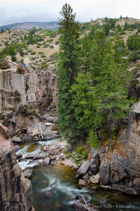 Shell Falls | Shell Falls, Wyoming | Joyce Rode-Bramanis | Flickr