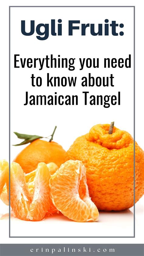 Ugli Fruit: Unlocking the Health Secrets of Jamaican Tangelo