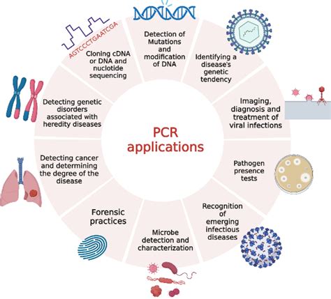 Examples of PCR applications (Created with Biorender.com) | Download Scientific Diagram