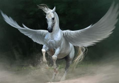 Horses: Mythology and Symbolism - BuzzSharer.com