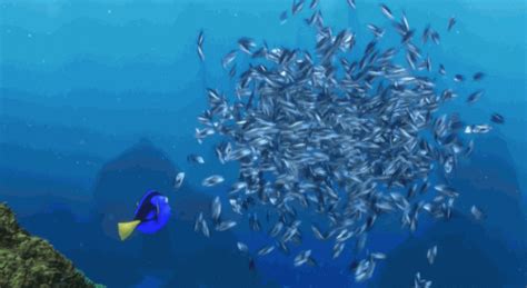 Finding Nemo Pixar Gif GIF by Disney Pixar - Find & Share on GIPHY