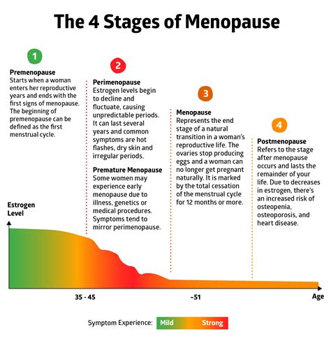 Your Ultimate Guide to Menopause and Your Bones