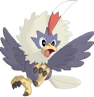 .:Rufflet:. by Orukiam on DeviantArt