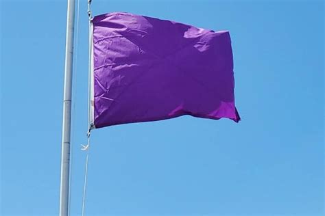 What does purple flag at the beach mean? Is it closed under a purple beach flag? 🌞 Florida ...