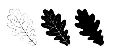 Simple Oak Leaf Outline