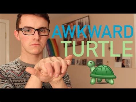 AWKWARD TURTLE | @DANCOMEAU92 - YouTube