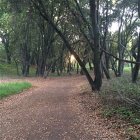 Lodi Lake Park - 30 Photos - Parks - Lodi, CA - Reviews - Yelp