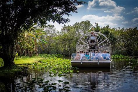 Everglades Safari Park (Miami, FL): Hours, Address, Nature & Wildlife ...