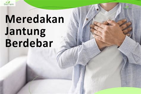 4 Cara Mengatasi Jantung Berdebar dan Gejalanya – Eka Farm