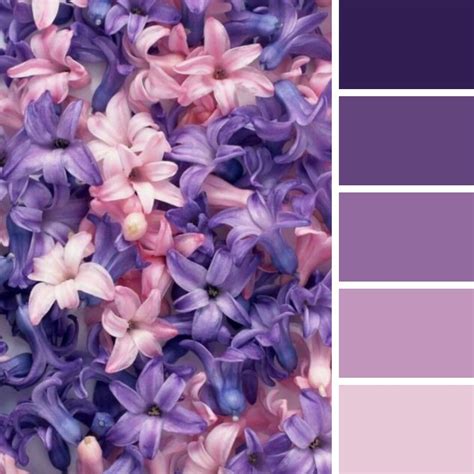 Purple jasmine color palette | Color, Color palette, Colour pallete