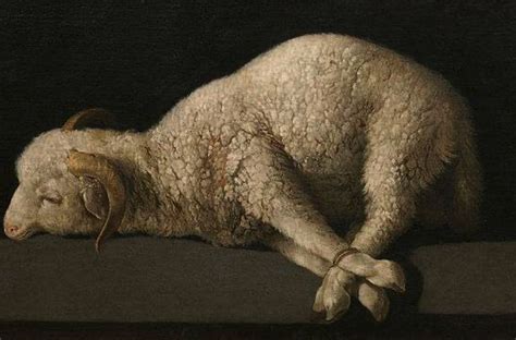 Animals of the Bible (12) The Lamb | Wirral Methodist Circuit