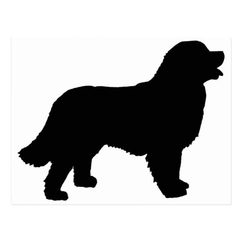 Bernese Mountain Dog (black silhouette) Postcard | Hunde silhouette, Hunde, Tiere hund