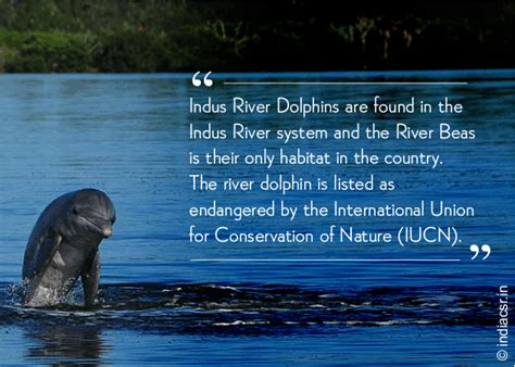 CSR: Awareness program to conserve the endangered Indus River Dolphin ...