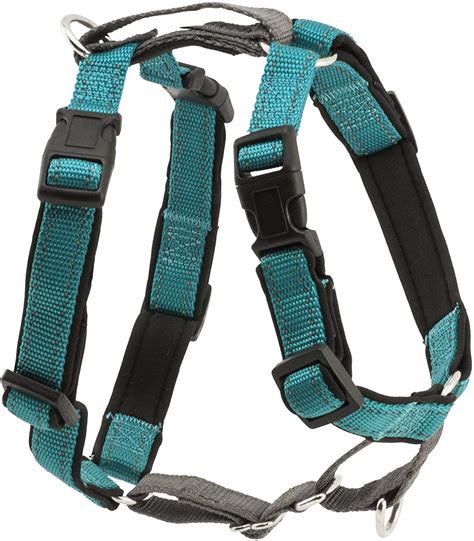 Keep Your Dog Comfortable Using the Best Dog Training Harness