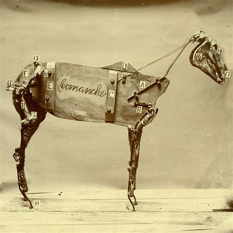 Album Of The Week: Chadwick Stokes’ The Horse Comanche › Providence ...