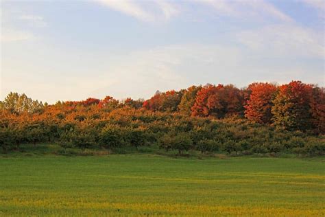 Experience a Virtual Fall Color Tour in Leelanau County [PHOTOS]