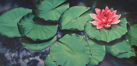 Lily Pad Painting Lotus Flower Painting Lily Pad Art Lotus - Etsy Australia