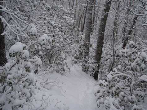 Snow on the Appalachian Trail in the GSMNP. | Appalachian trail ...