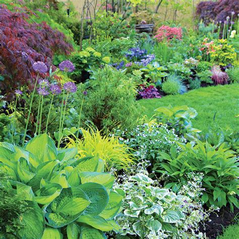 Fine Gardening – Issue 198 - Fine Gardening