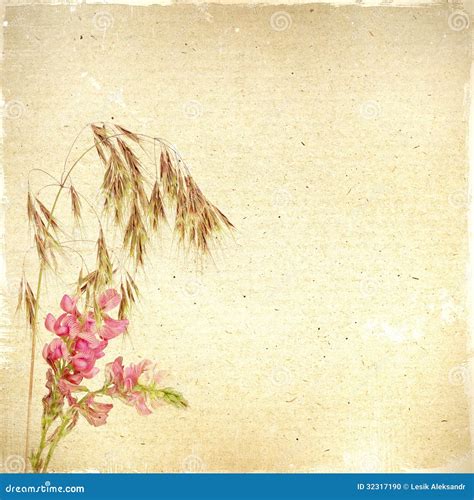 Vintage Floral Background With Grass And Flowers On A Brown Back Stock ...