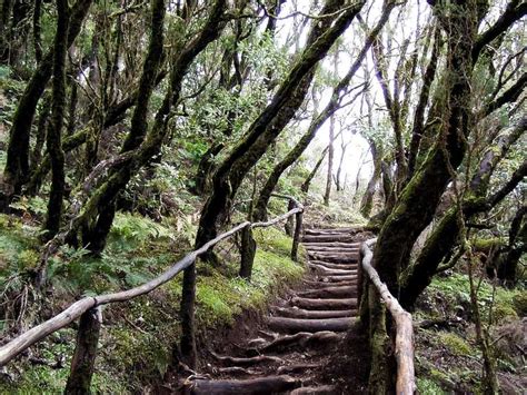 Top 20 Hikes and Walks around Isla De La Gomera | Komoot