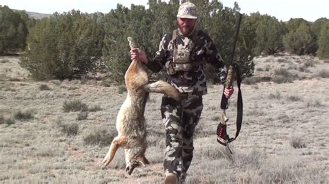 Arizona Coyote Hunt - YouTube