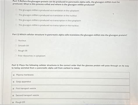 Solved Part 1) ﻿Before the glucagon protein can be produced | Chegg.com