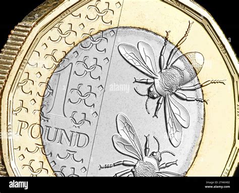 The new £1 coin design & the first Pound coin to feature King Charles ...