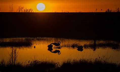 Alaska Wildlife Photographer ⋆ Anchorage Photographer