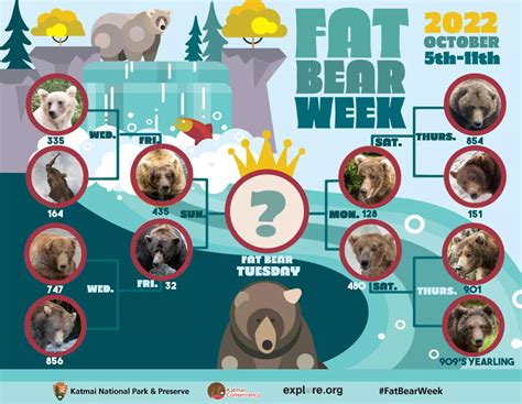 Fat Bear Week Is Back And Chunkier Than Ever | IFLScience