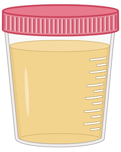 Urinalysis Macroscopic Exam – Human Bio Media