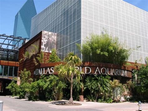 Dallas World Aquarium: A Other in Dallas, TX - Thrillist