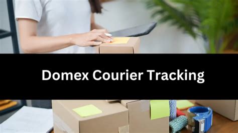 Domex Courier Tracking - Track Your Shipment