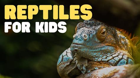 What Is Unique About Reptiles: Fascinating Insights