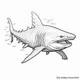 Shark Week Coloring Pages  Free & Printable sketch template