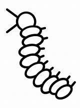 Millipede Coloring Pages sketch template