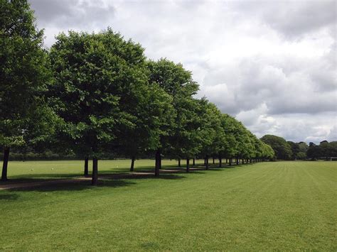 Pontcanna Fields and Sophia Gardens - Outdoor Cardiff