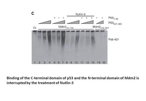 APExBIO - Nutlin-3|MDM2 antagonist,inhibits MDM2-p53 interaction|CAS# 890090-75-2