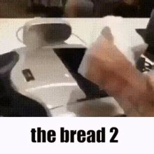 Bread Cat Meme GIFs | Tenor