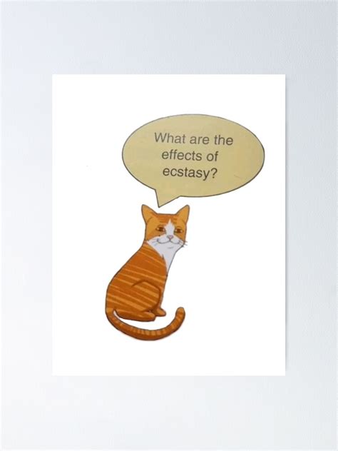 "High cat meme " Poster for Sale by QuotesAndMemes | Redbubble