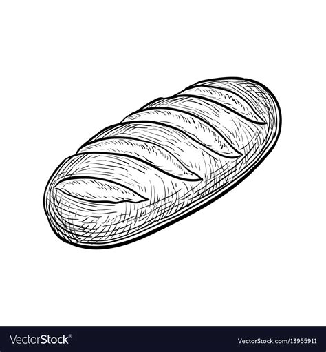 Loaf of bread Royalty Free Vector Image - VectorStock