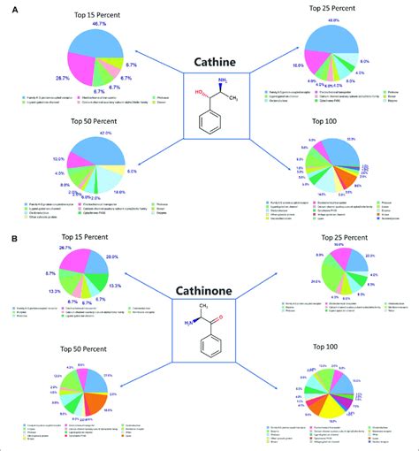 | SwissTargetPrediction analysis for cathine (A) (PubChem CID 441457)... | Download Scientific ...