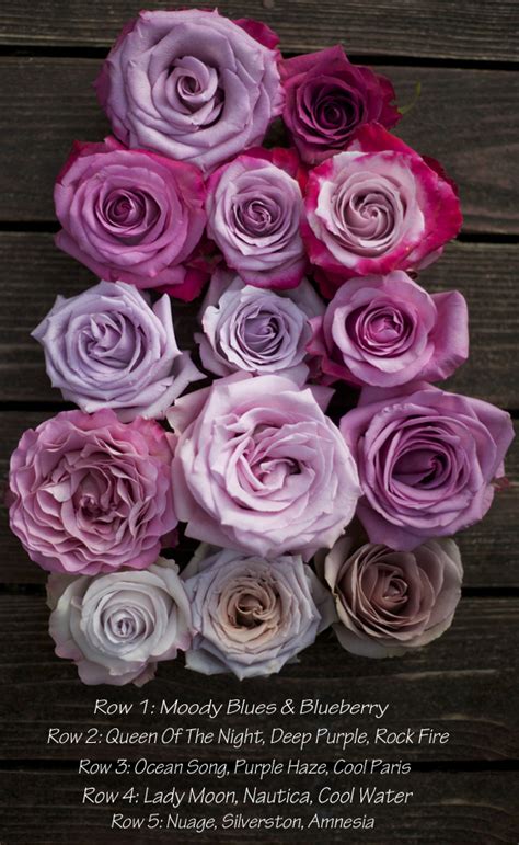 The Lavender & Purple Rose Study – Flirty Fleurs The Florist Blog – Inspiration for Floral Designers