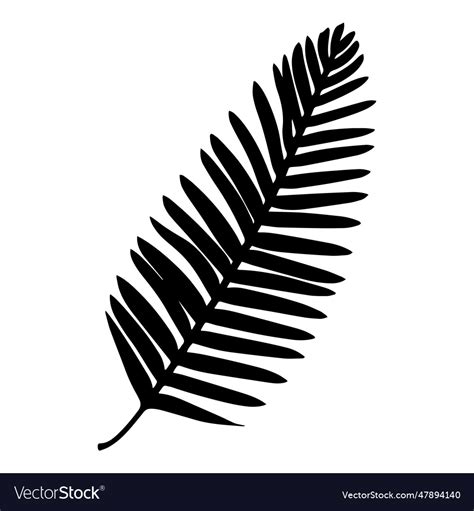 Palm tree leaf silhouette Royalty Free Vector Image