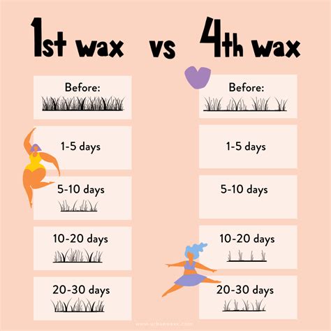 Hair Growth Cycles - Why a Waxing Routine is Essential | Urban Waxx