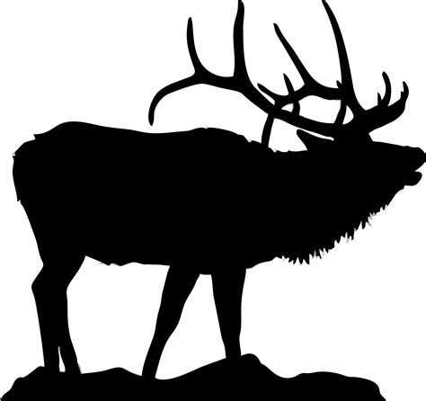 Elk Lake Moose Deer Clip art - deer png download - 1768*1667 - Free ...