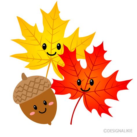 Cute Acorn and Maple Clip Art Free PNG Image｜Illustoon | Fall clip art ...