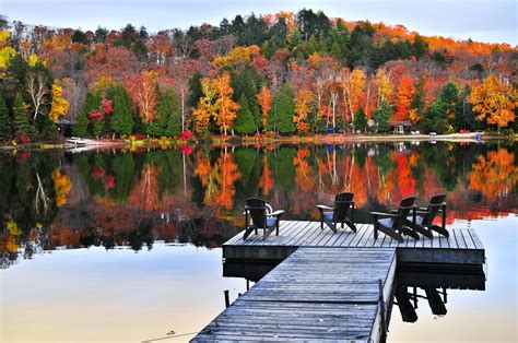 4 reasons to consider buying a cottage this fall - Cottage Life